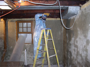 Mold Cleaning