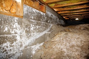 crawl-space-mold-removal