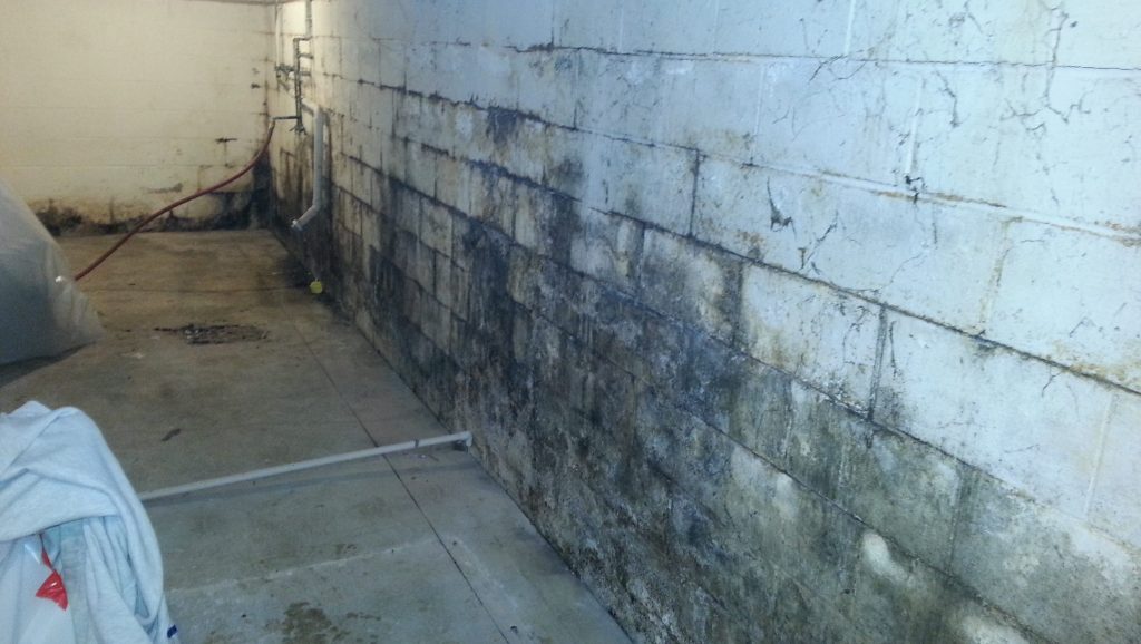 The Importance Of Foundation Waterproofing Hicksville, NY