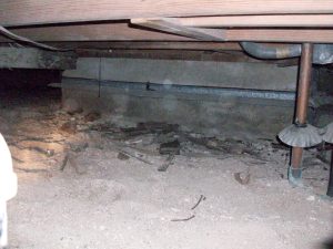 crawlspace-waterproofing-albertson-ny-a-m-shield-waterproofing-1