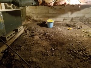 crawlspace-waterproofing-albertson-ny-am-shield-waterproofing-3