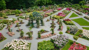 Aerial view of the New York Botanical Garden showcasing vibrant flower beds and a decorative gazebo, highlighting a serene outdoor space in Mount Vernon, NY.