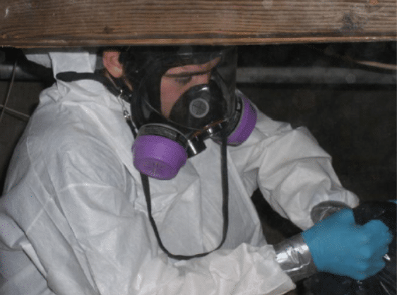 Mold remediation professional in protective gear, including a respirator and gloves, inspecting and addressing mold issues in a confined space, emphasizing A.M. Shield's comprehensive mold removal process.