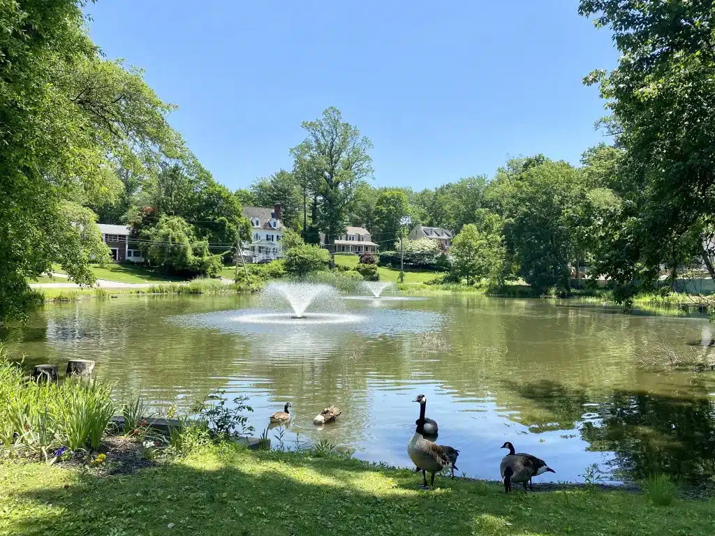 Roslyn Estates